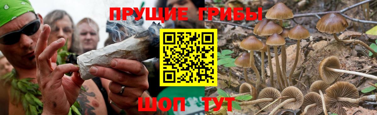 Псилоцибиновые грибы Magic Shrooms Фурманов